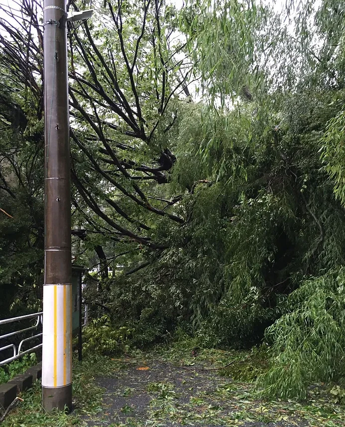 台風